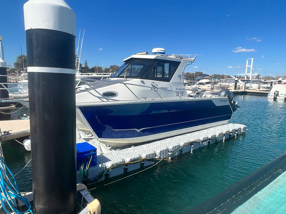 079918_49b77389a8e14202846c06e263ab26df~mv2